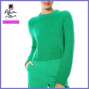 Alice + Olivia Leta Textured & Woven Pullover Mint Kelly Green Sweater